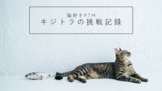 キジトラ/FTMの挑戦記録